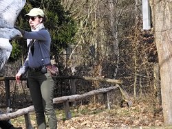 IMG_20250322_114817_3.jpg