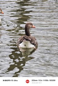 IMG_20250323_152117.jpg