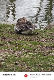 IMG_20250323_154008.jpg