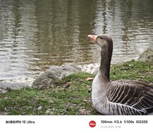 IMG_20250323_154653.jpg