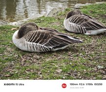 IMG_20250323_154936.jpg