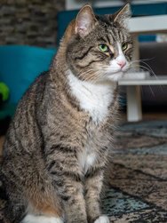 IMG_20250323_145840-Verbessert.jpg