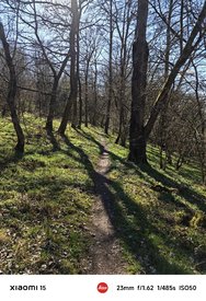 IMG_20250322_142815.jpg