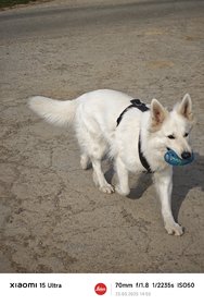 IMG_20250323_145541_1.jpg