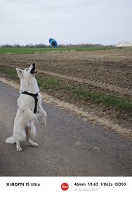 IMG_20250323_150717_3.jpg