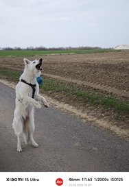 IMG_20250323_150717_4.jpg
