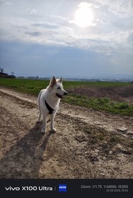 IMG_20250323_154343.jpg