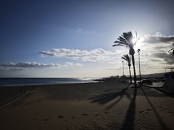 IMG_20250323_175437.jpg