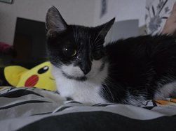 20240612_001756.jpg