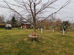 Xiaomi 15 Leica Vibrant.jpg