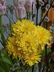 IMG_20250310_155957.jpg