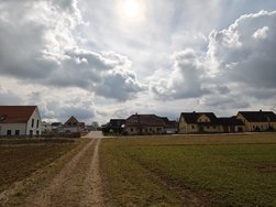 IMG_20250311_123824.jpg