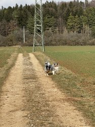 IMG_9418.jpg