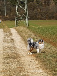 IMG_20250311_123905.jpg