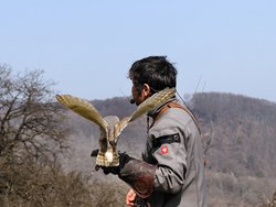 IMG_20250322_114936_1.jpg
