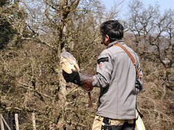 IMG_20250322_114940_2.jpg