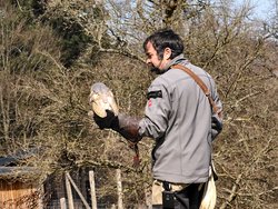 IMG_20250322_114941_2.jpg