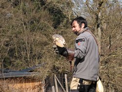 IMG_20250322_114942_1.jpg
