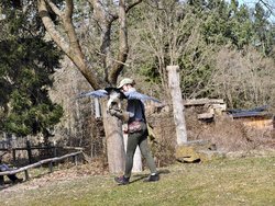 IMG_20250322_114808_1.jpg