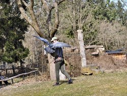 IMG_20250322_114808_2.jpg