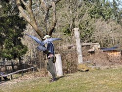 IMG_20250322_114809.jpg