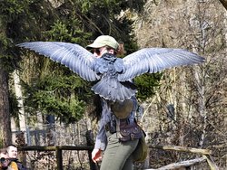 IMG_20250322_114811_1.jpg