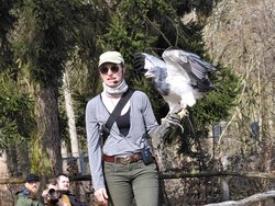IMG_20250322_114812_1.jpg