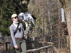 IMG_20250322_114816.jpg
