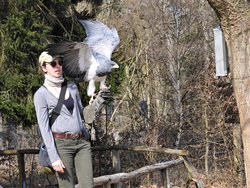 IMG_20250322_114816_1.jpg