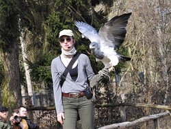 IMG_20250322_114813_3.jpg