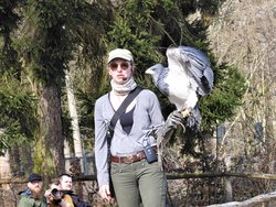 IMG_20250322_114812.jpg