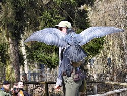 IMG_20250322_114811_2.jpg