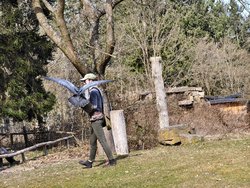 IMG_20250322_114809_1.jpg