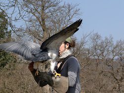 IMG_20250322_114803.jpg