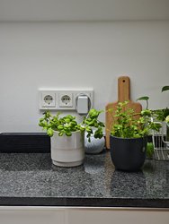 IMG_20250310_154851.jpg