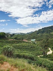 20250317_112207.JPG