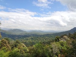 20250318_112531.JPG