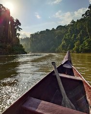 20250318_173630 (1).JPG