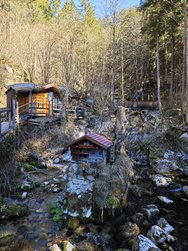IMG_20250319_103332.jpg