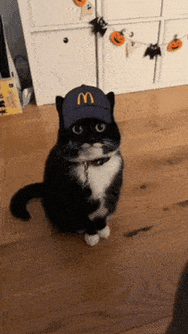 mcdo-cat-meme.gif