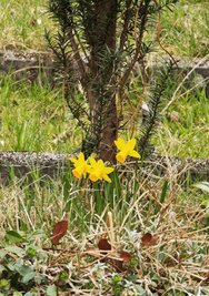 IMG_20250324_134824~2.jpg