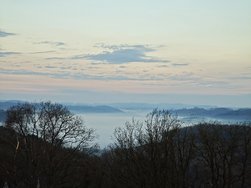IMG_20250324_064120.jpg