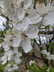 20250324_155302.jpg