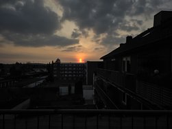 20250324_183503.jpg