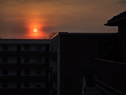 20250324_183507.jpg