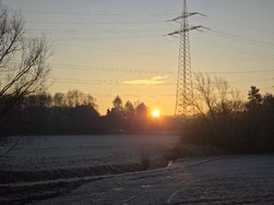 20250202_082942.jpg