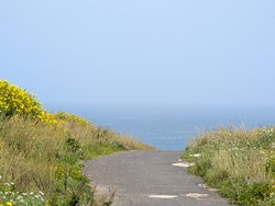 PSX_20250324_200028.jpg