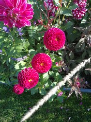 IMG_20181010_142059.jpg