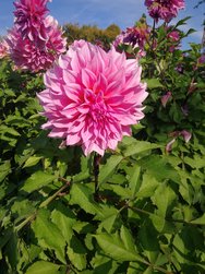 IMG_20181010_141836.jpg