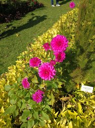 IMG_20181010_141405.jpg